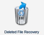 EASEUS Data Recovery Wizard Professional Portable 5.5.1