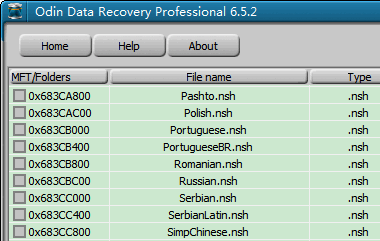 Odin Data Recovery Professional Portable