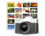 Snap2IMG Portable 2.01 - Create Thumbnail for all Images in a Folder
